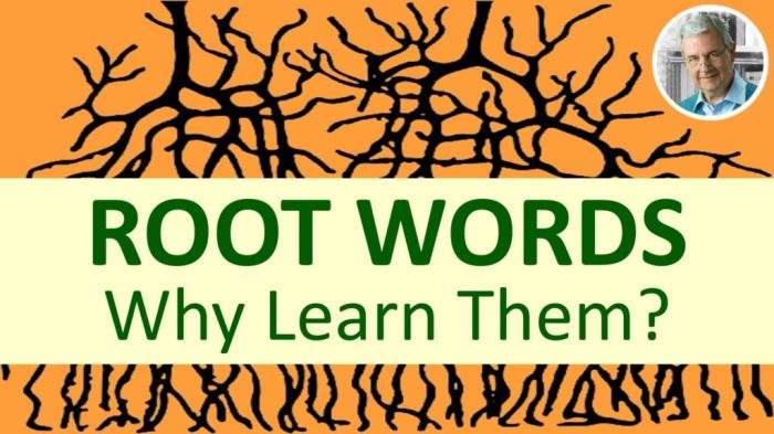 Root graph words