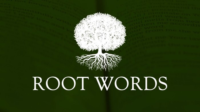 Words with the root word vert