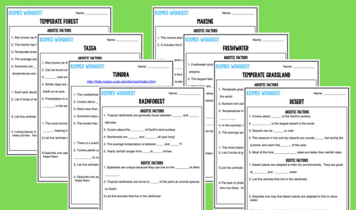 Light and optics webquest answer key