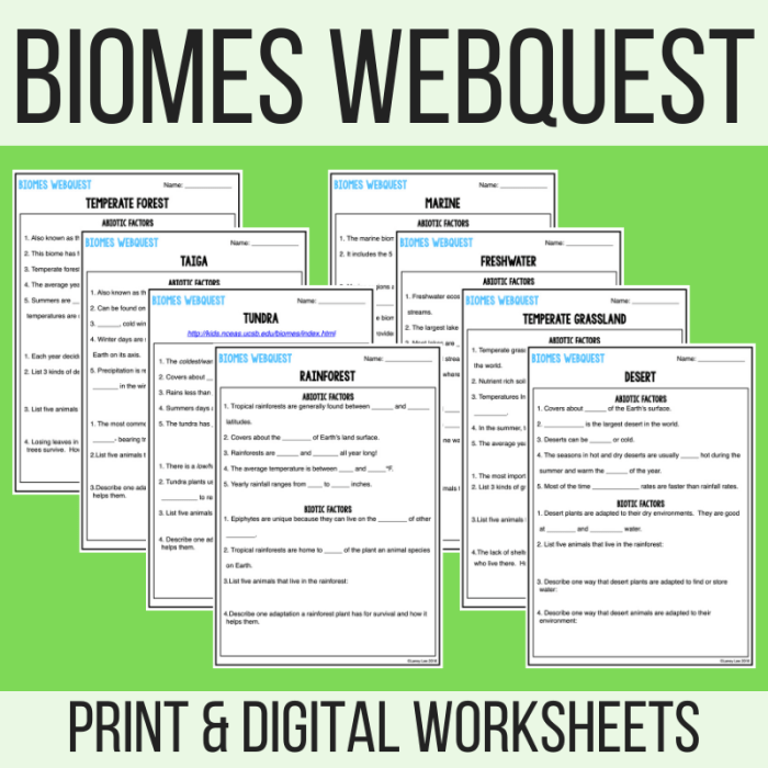 Light and optics webquest answer key