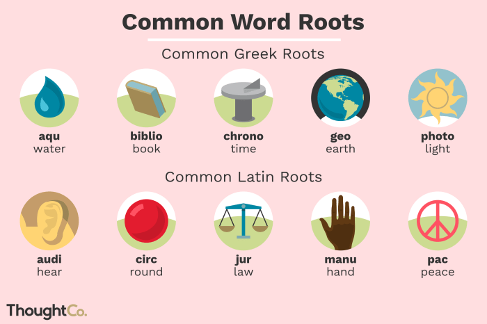 Words with the root word vert