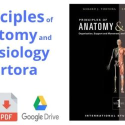 Hole's human anatomy and physiology 16th edition pdf