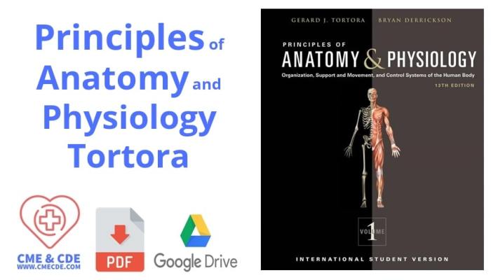 Hole's human anatomy and physiology 16th edition pdf